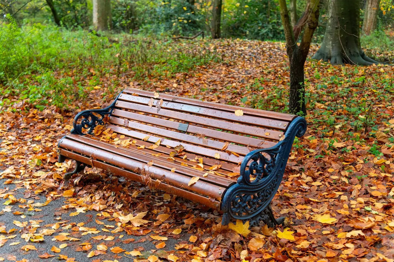 Bench under autumn leaves in Sefton Park, a quiet actor showreel filming location